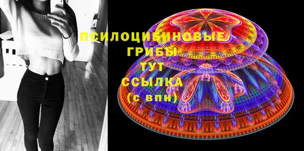 молекула духа Абинск
